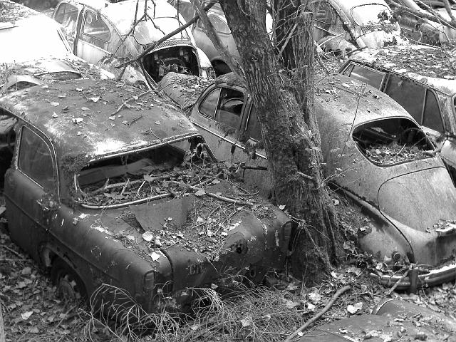 Autofriedhof - 112.JPG - Historischer Autofriedhof,    Gürbetal (CH)